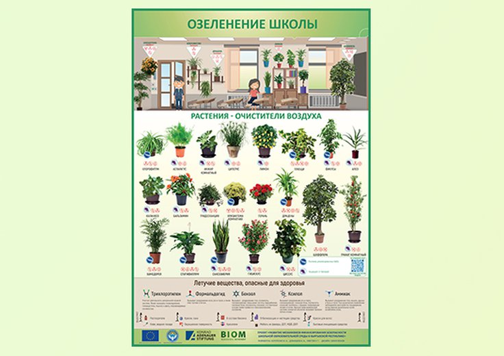Озеленение школы