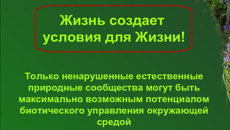 Коротенко Владимир / Руководство по озеленению школ
