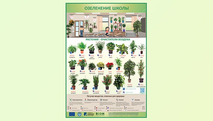 Озеленение школы